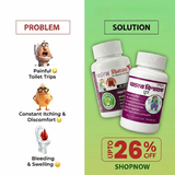 VRL Ayurveda Piles Vinashak Combo - 30 Capsules & 100g Churna for Piles, Fissures, Acidity & Constipation Relief